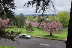 20260412_160707-scaled