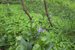 20260412_161016-scaled