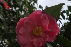 20260412_161744-scaled