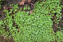 20260412_161837-scaled