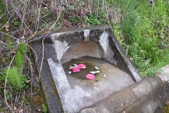 20260412_162153-scaled