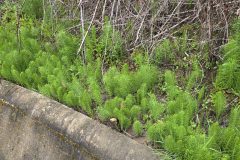 20260412_162158-scaled