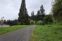 20260412_164913-scaled