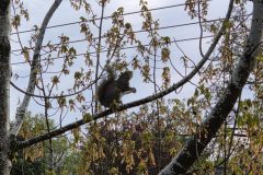 20260415_075410-scaled