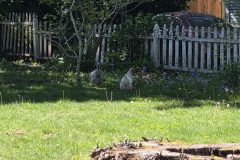 20260425_155057-scaled