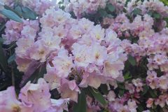 20260425_170751-scaled
