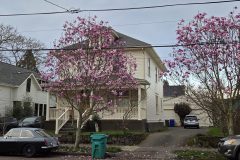 20260318_182533-scaled