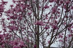 20260318_182548-scaled