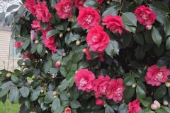 20260318_182604-scaled