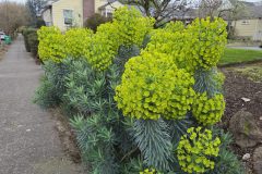 20260318_182654-scaled