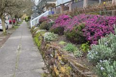 20260318_182718-scaled