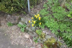 20260318_182755-scaled