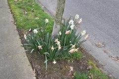 20260318_182833-scaled