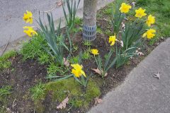 20260318_182843-scaled