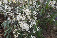 20260318_183002-scaled