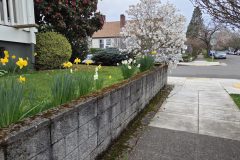 20260318_183054-scaled