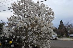 20260318_183101-scaled