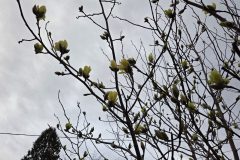 20260318_183200-scaled