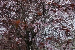 20260318_183421-scaled