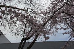 20260318_183605-scaled