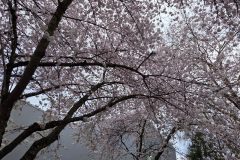 20260318_183609-scaled