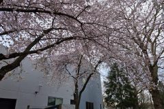 20260318_183612-scaled