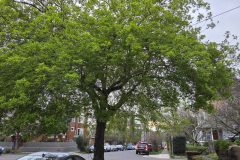 20260318_183800-scaled