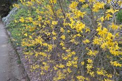 20260318_183826-scaled