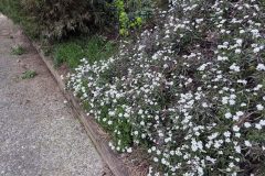 20260318_183833-scaled