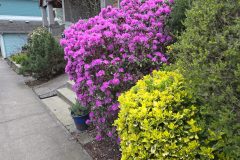 20260318_184320-scaled