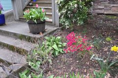 20260318_184334-scaled